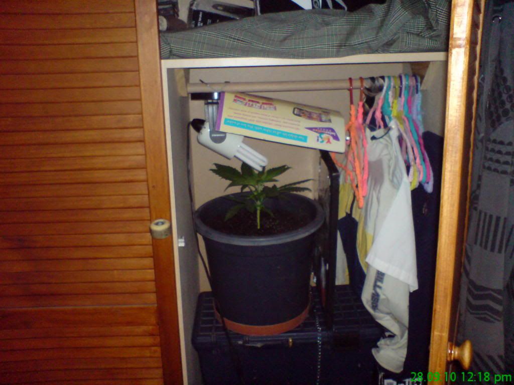 DSC00101.jpg