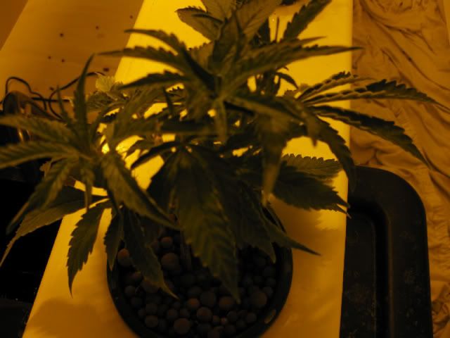 Picture004.jpg