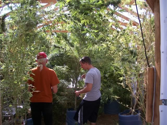 100_0609.jpg