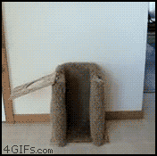 gifs_09.gif