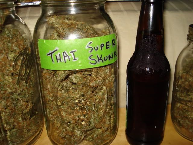 TSSLifeofPlant007.jpg