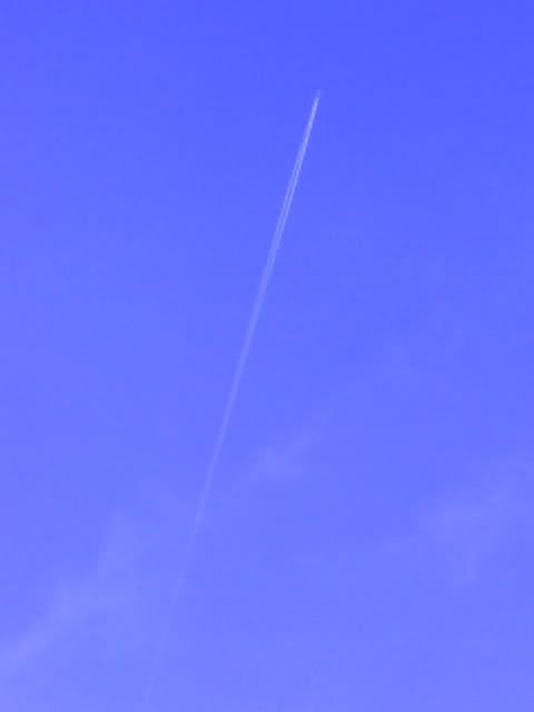 12-11-08_1714.jpg