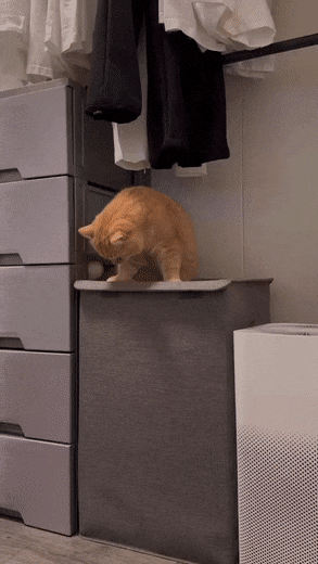 1678104757_22.gif