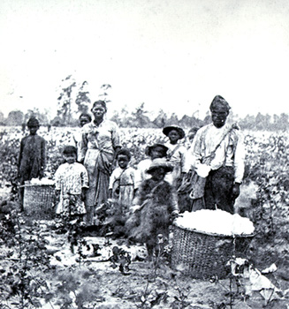 field-slaves.jpg