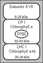 psi110.gif