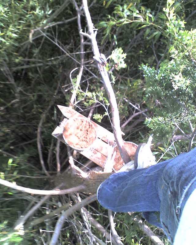 05-11-08_1706.jpg