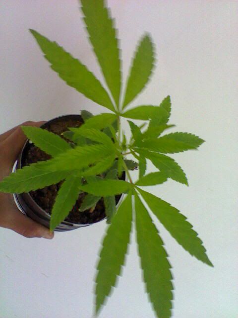 May05_0002.jpg