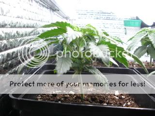 DSCN0338.jpg