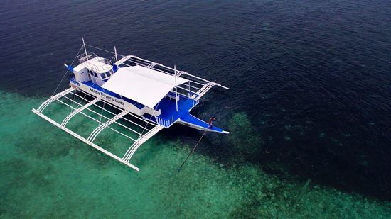 alona-divers-brand-new.jpg