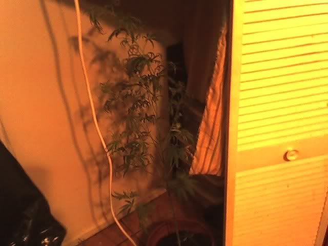 08-28-08_0206.jpg