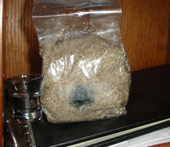mycobag.jpg