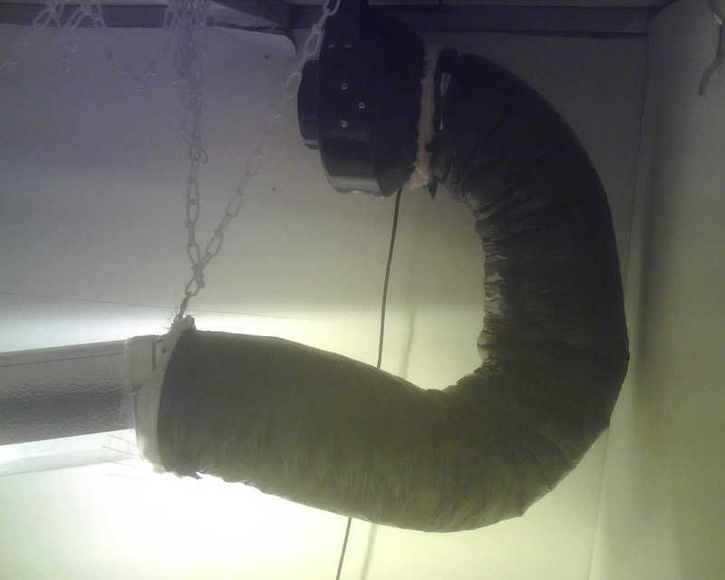 IMG00135.jpg
