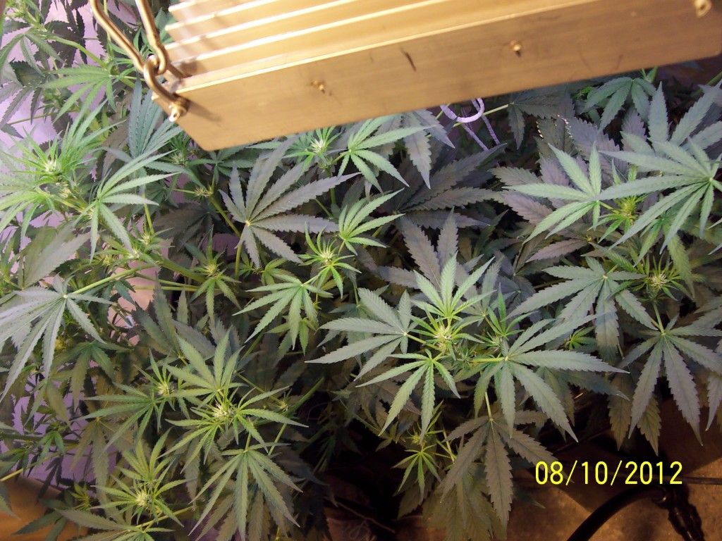 100_2730.jpg