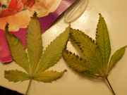 076546699-thumb_100_1427.jpg