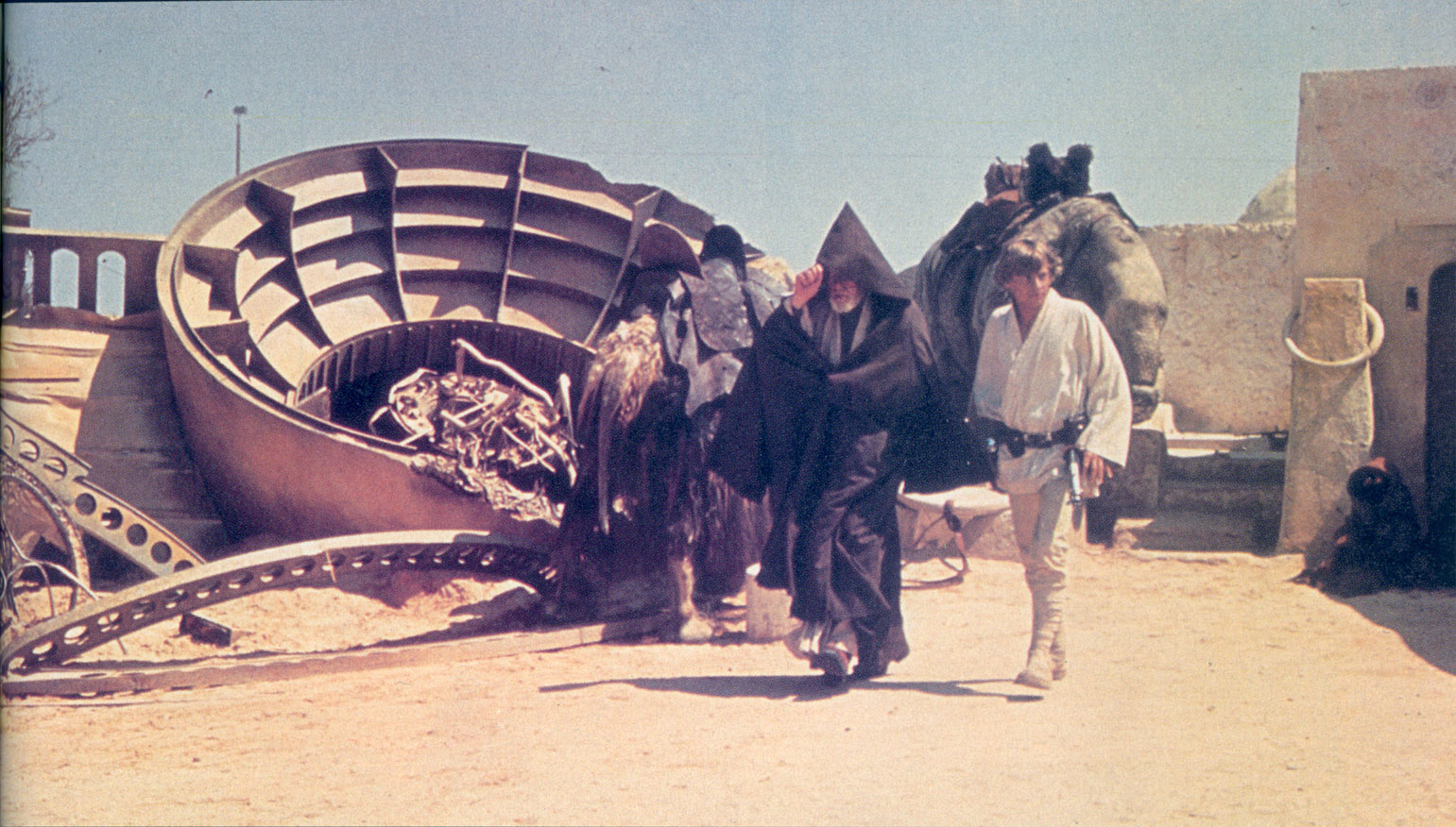 jerba.dewback.jpg