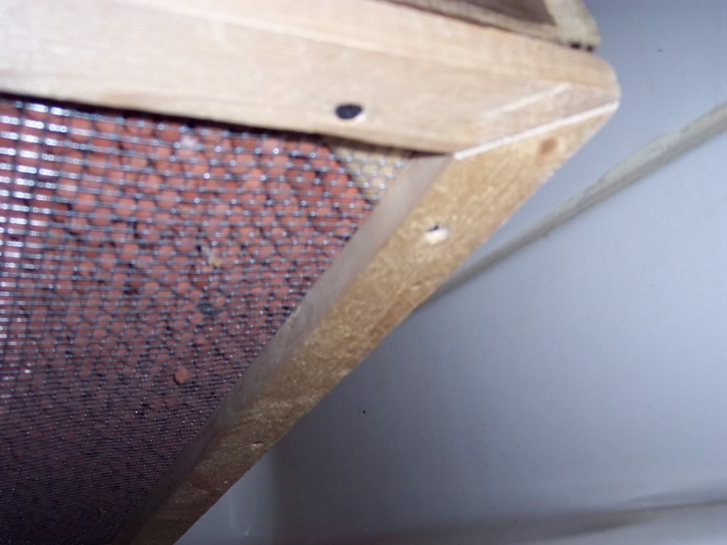 100_6855.jpg