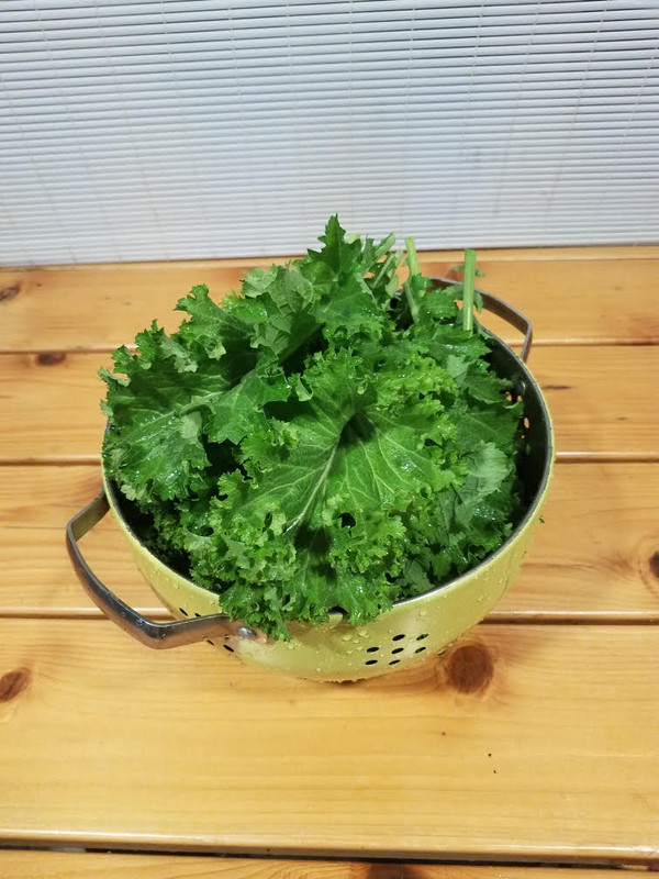 mustard-greens.jpg