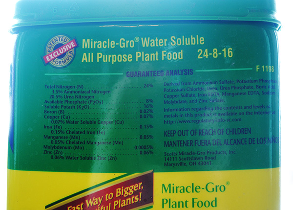 miracle-close.jpg