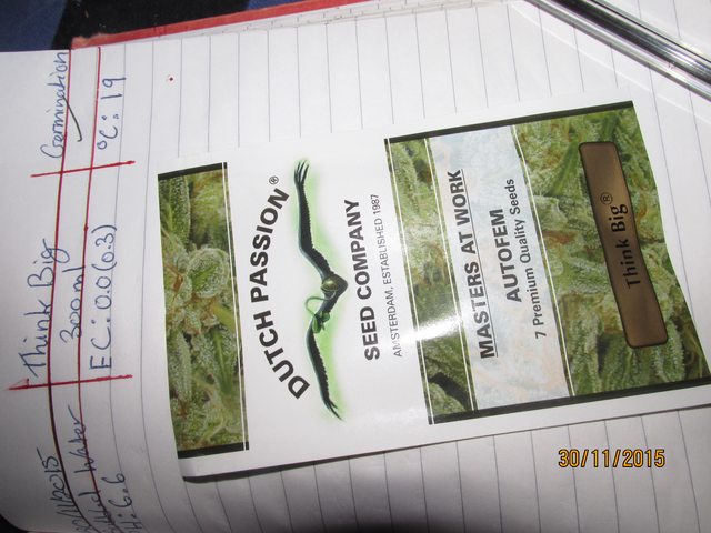 FL8eGm1l.jpg