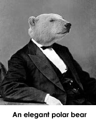 suit_bear.jpg