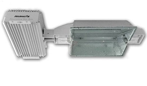 41AXiym6a4L.jpg