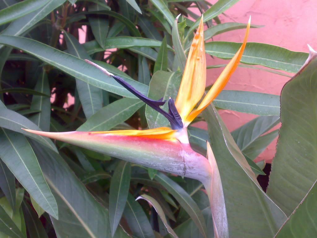 04012007439.jpg