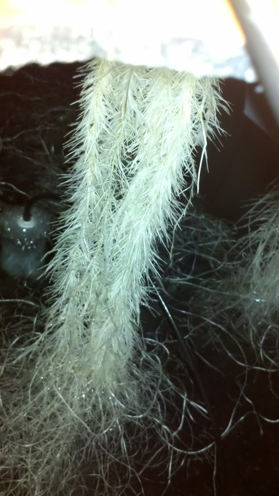 2010-12-04_01-56-37_19.jpg