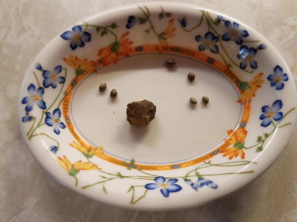 hash.jpg