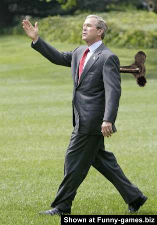 90-funny-bush-photo.jpg