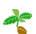 h2-seed.gif
