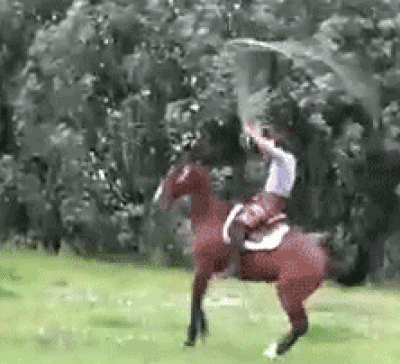 23dd3ec2964c1308034324c28ca475ef.gif