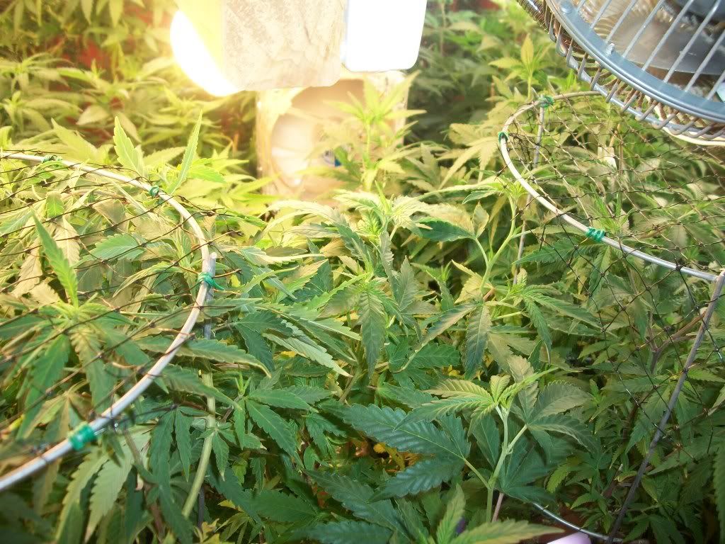 8-30-11003.jpg