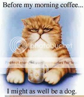 b4coffee.jpg