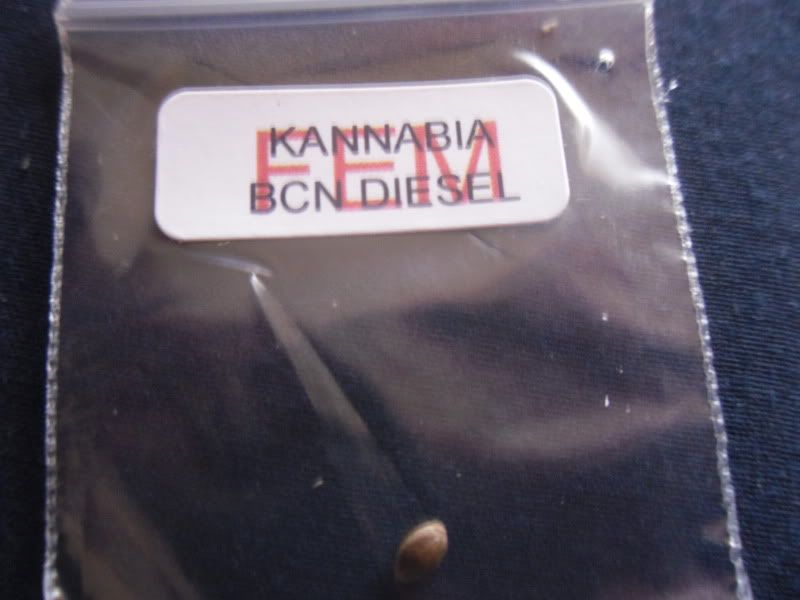 SDC10405.jpg