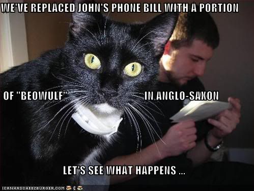 beowulffoncat.jpg