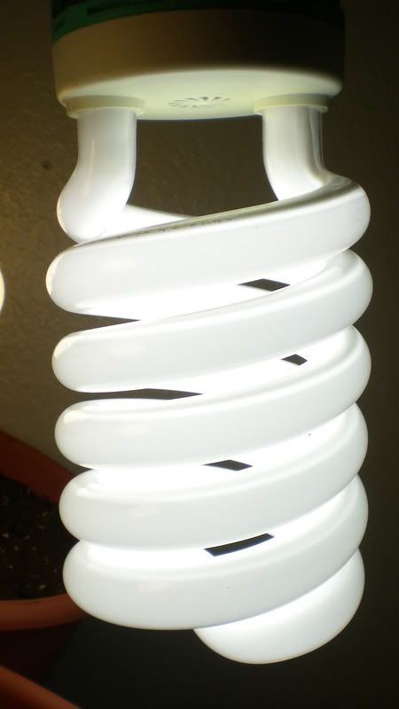 DSCN0375.jpg