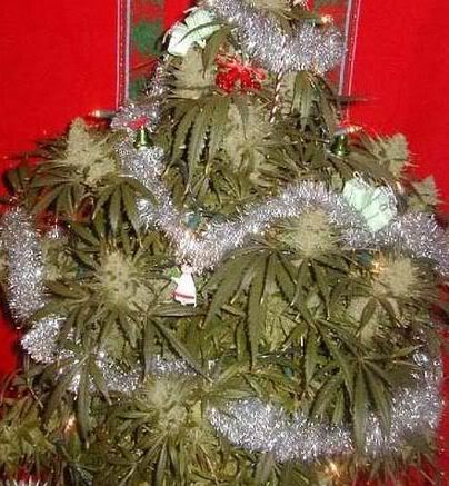 HashTree.jpg