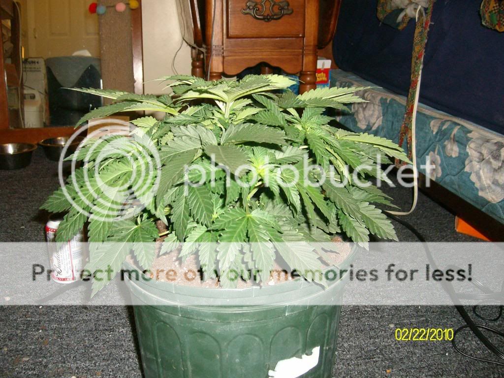 SANY6141.jpg