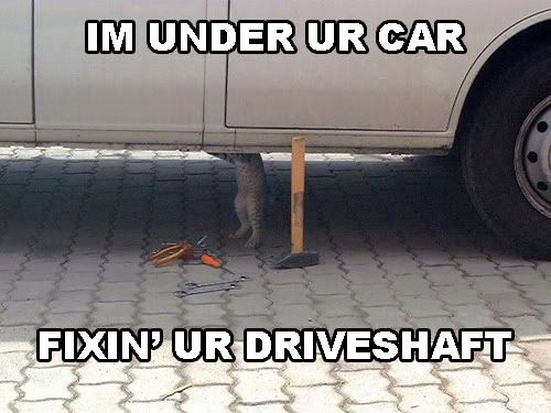 mechcatnic2.jpg