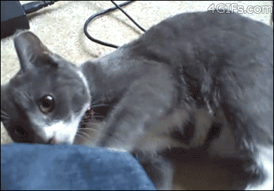 under+attack.gif
