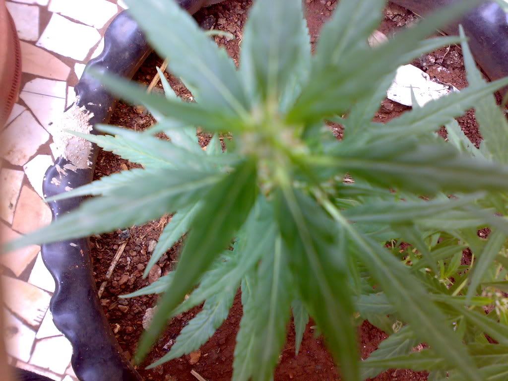 26022009640.jpg