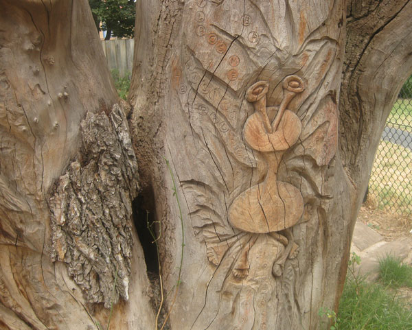 tree11.jpg