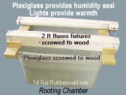 rootingchamber.jpg