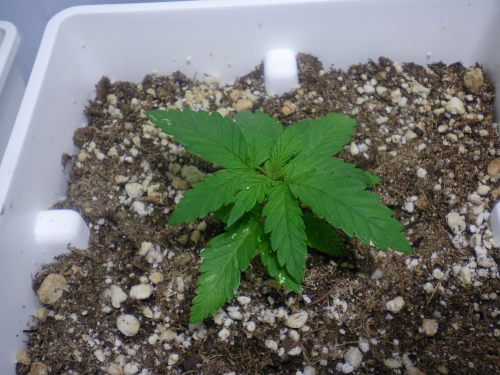 10-20-11005.jpg
