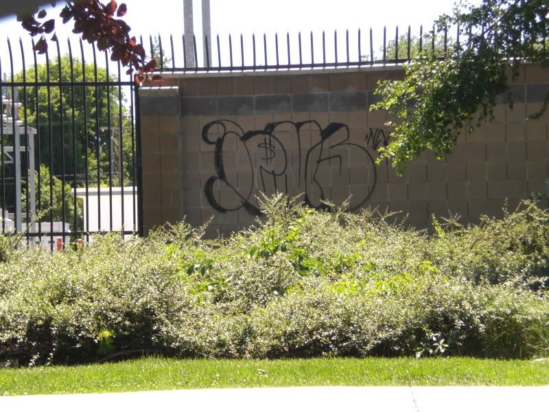 CIMG0572.jpg