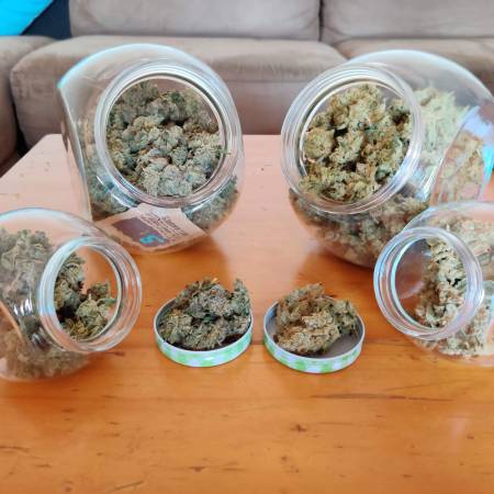 growdiaries.com