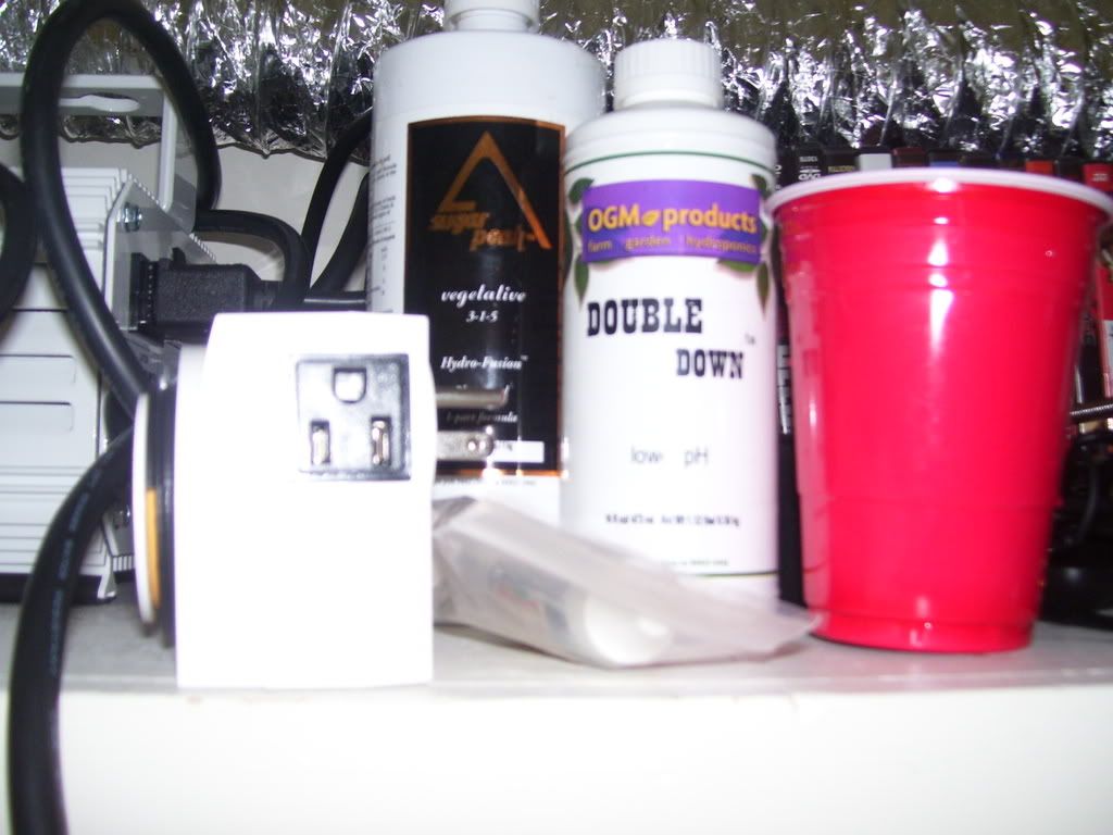 100_0933.jpg