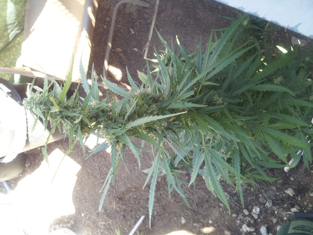 2012-10-28130843.jpg