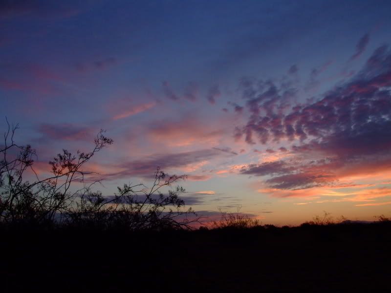 DSCF1255.jpg