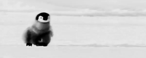 penguin-fall.gif